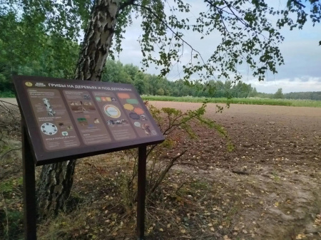 В Раменском муниципальном округе открылась «Лесная лаборатория»