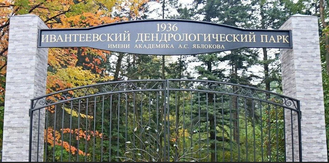 Ивантеевский дендрологический парк имени академика А.С. Яблокова